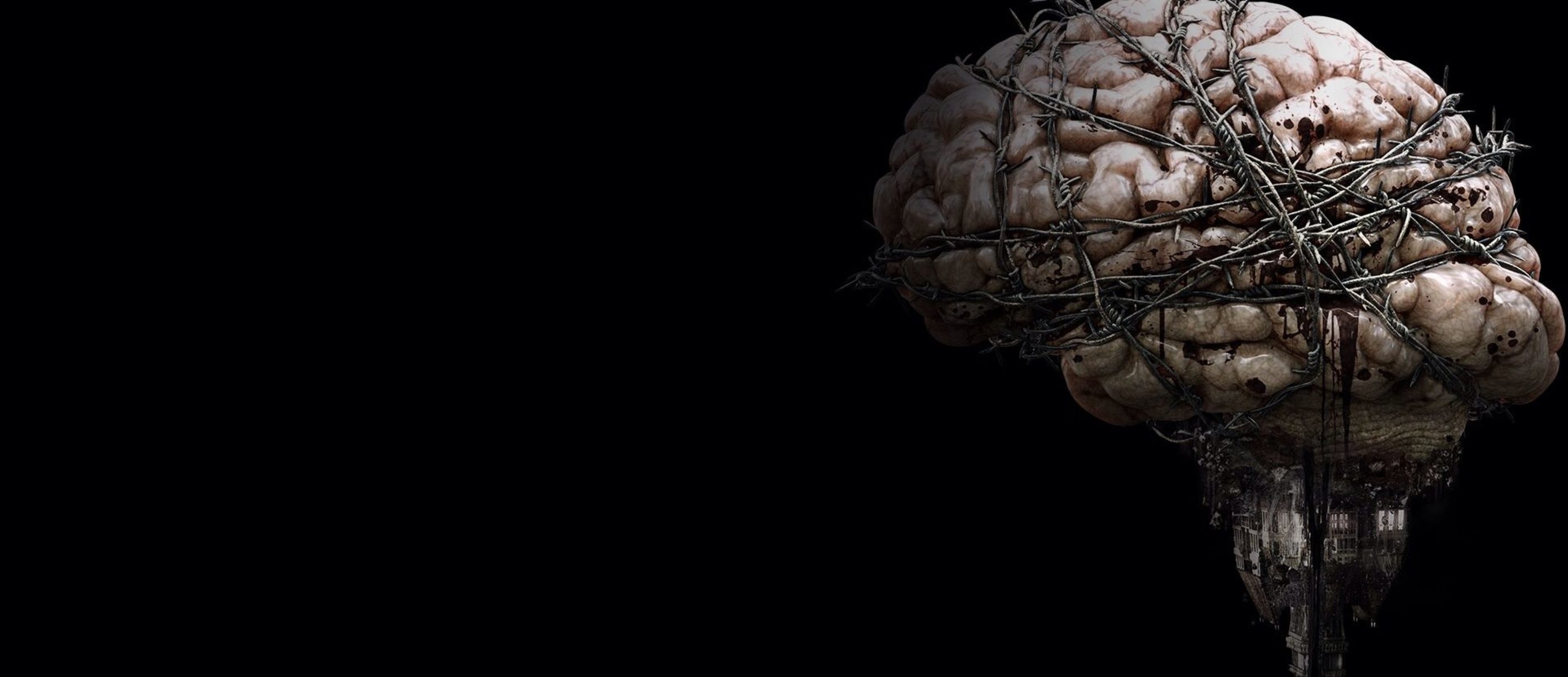 Brain 63. Мозг Минимализм.