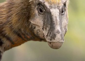 Apple выпустила тизер второго сезона «Доисторической планеты» о динозаврах