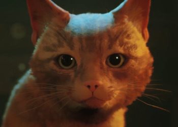 Популярная игра про кота Stray анонсирована для Xbox Series X|S и Xbox One — выходит в августе