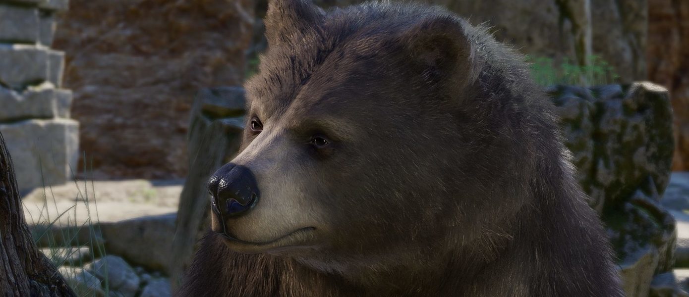Бельгийский зов природы: В Baldur’s Gate 3 добавили роман с медведем