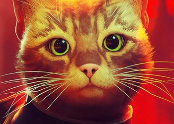 Котик хочет поиграть: Состоялся релиз Stray для Xbox Series X|S и Xbox One
