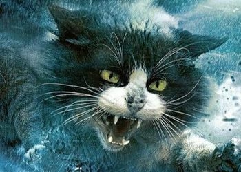 Кошачий торнадо в трейлере фильма Catnado