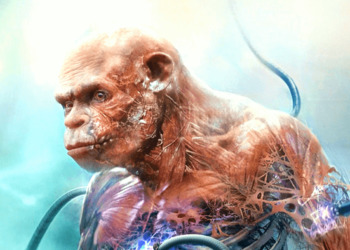 «Музыка опережает саму игру»: работа над саундтреком для Beyond Good & Evil 2 уже началась