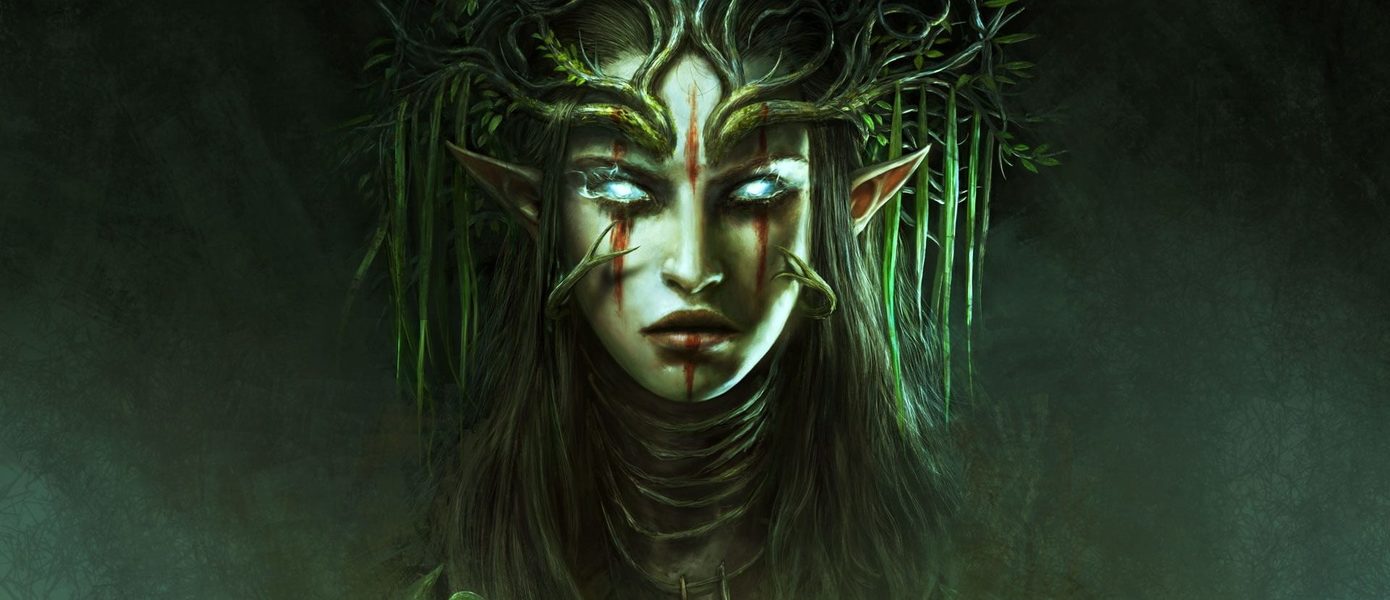 Стоит ли ждать Divinity: Original Sin III? Larian Studios ответила на вопрос о будущем ролевой серии