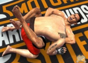Новые скриншоты UFC 2009 Undisputed