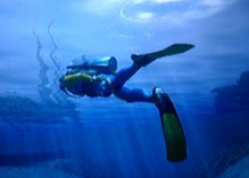 Новая информация и сканы Endless Ocean 2 для Wii