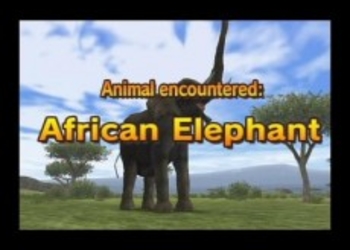 Скриншоты Safari`Wii