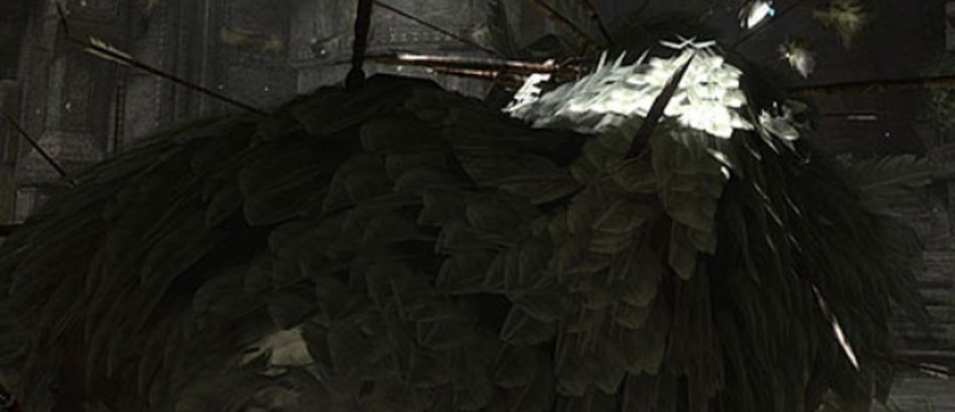 В SCEA объяснили, почему они не показали Last Guardian на E3