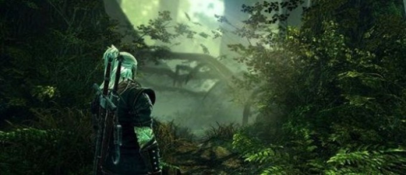 CD Projekt о консольном релизе The Witcher 2