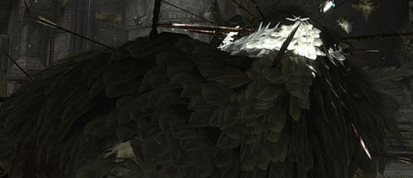 Слух: дата выхода Last Guardian