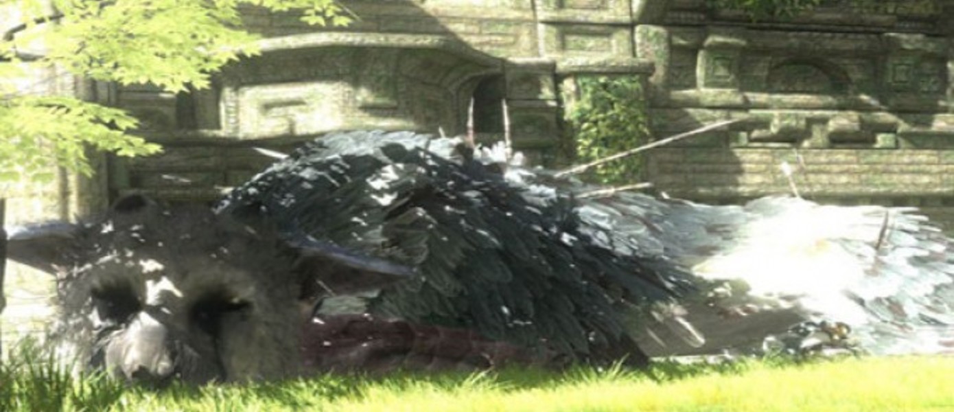 Новые подробности The Last Guardian