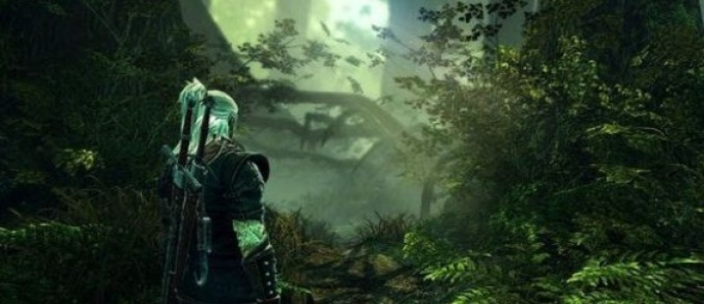 Системные требования Witcher 2