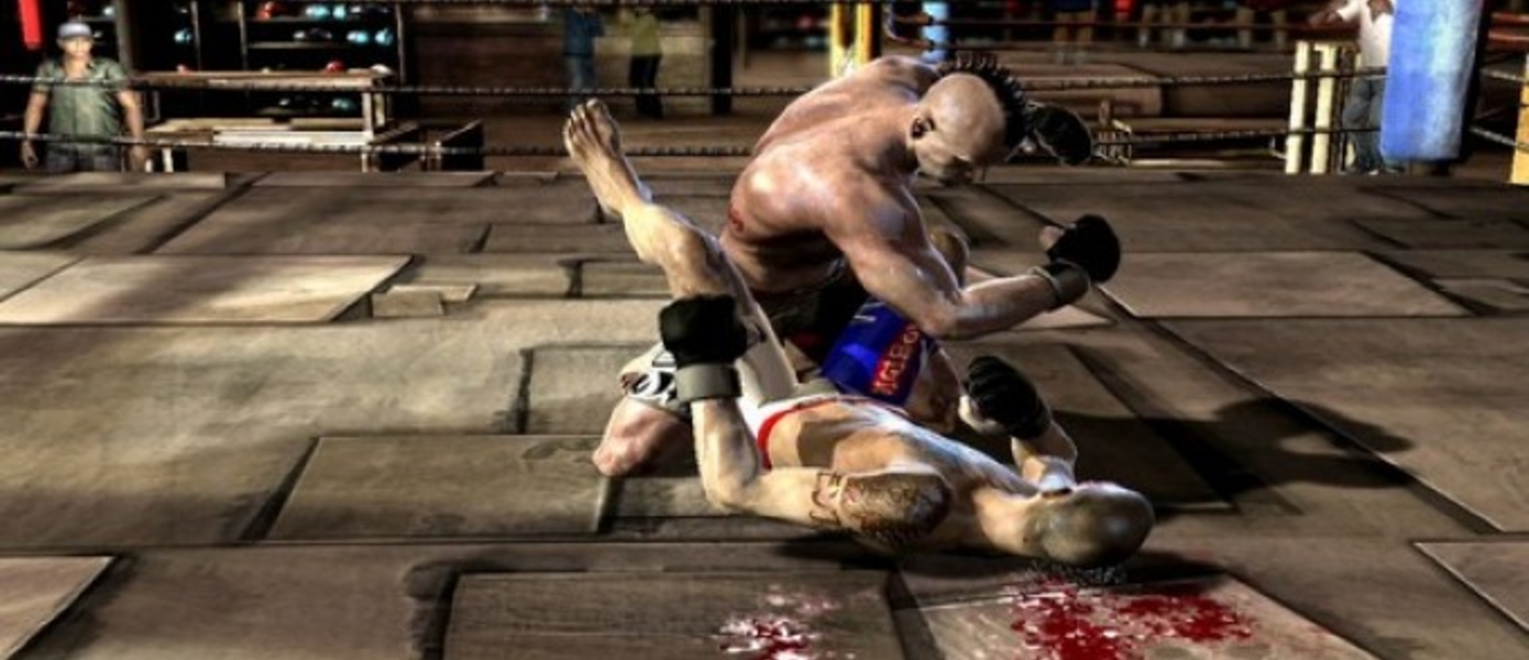 Бокс арт и новые скриншоты Supremacy MMA