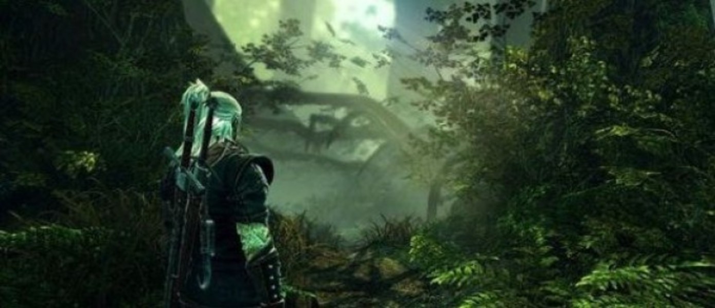 The Witcher 2 на Xbox 360. Интервью с продюсером проекта