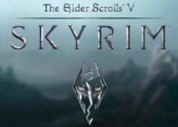 TES V: Skyrim — фанатское интервью с разработчиками игры
