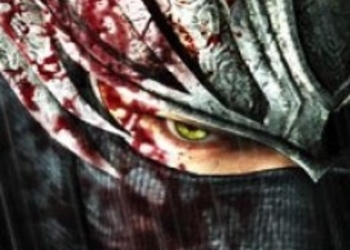 Новый арт Ninja Gaiden 3