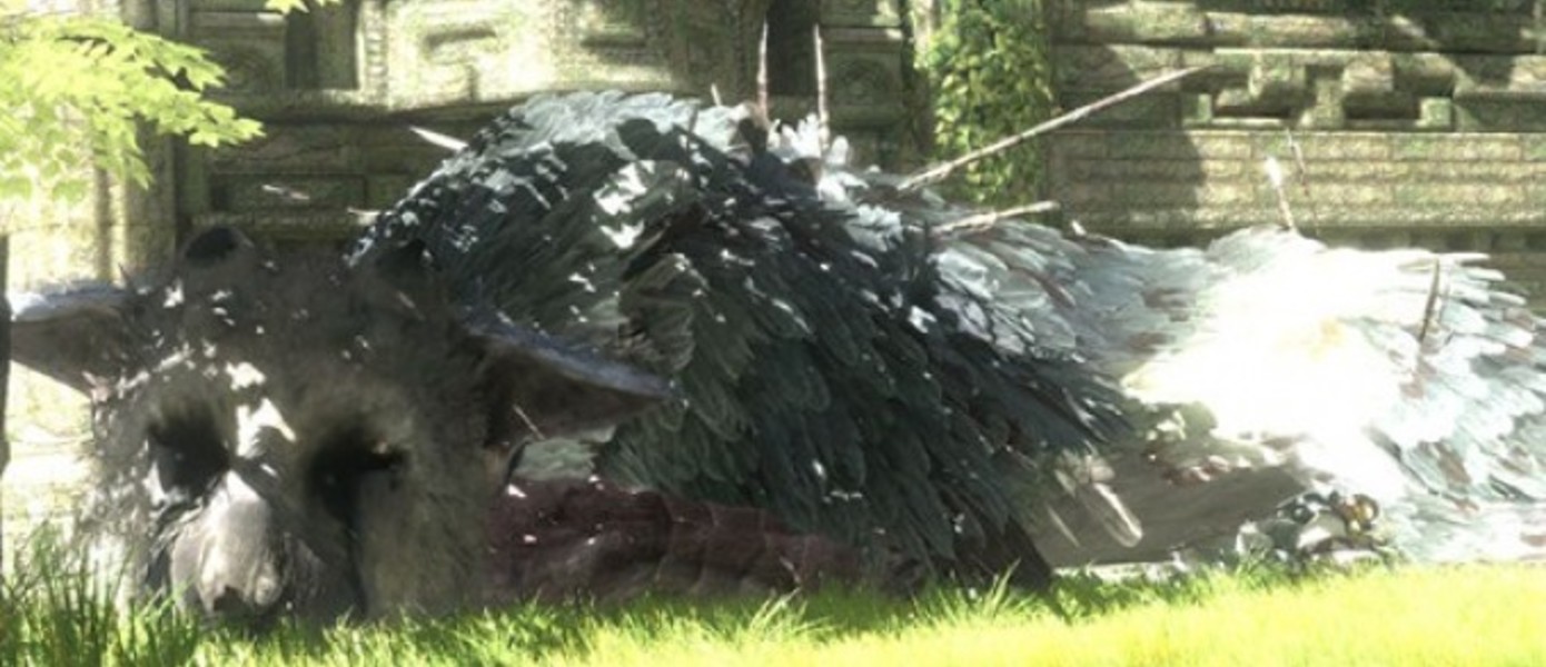 Sony не забыла о Last Guardian