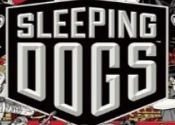 Боксарт Sleeping Dogs