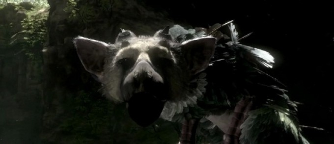 Йошида не обещает, что The Last Guardian появится в 2013 году