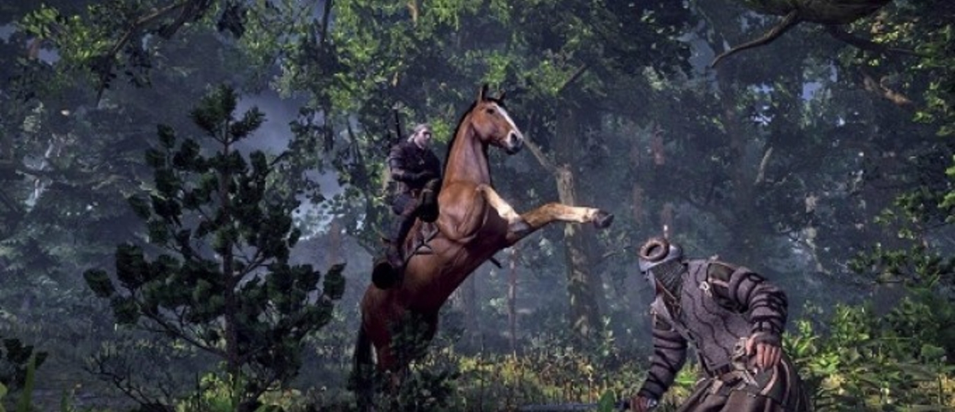 CD Project Red: The Witcher 3: Wild Hunt на ПК будет выглядеть лучше, чем на консолях следующего поколения