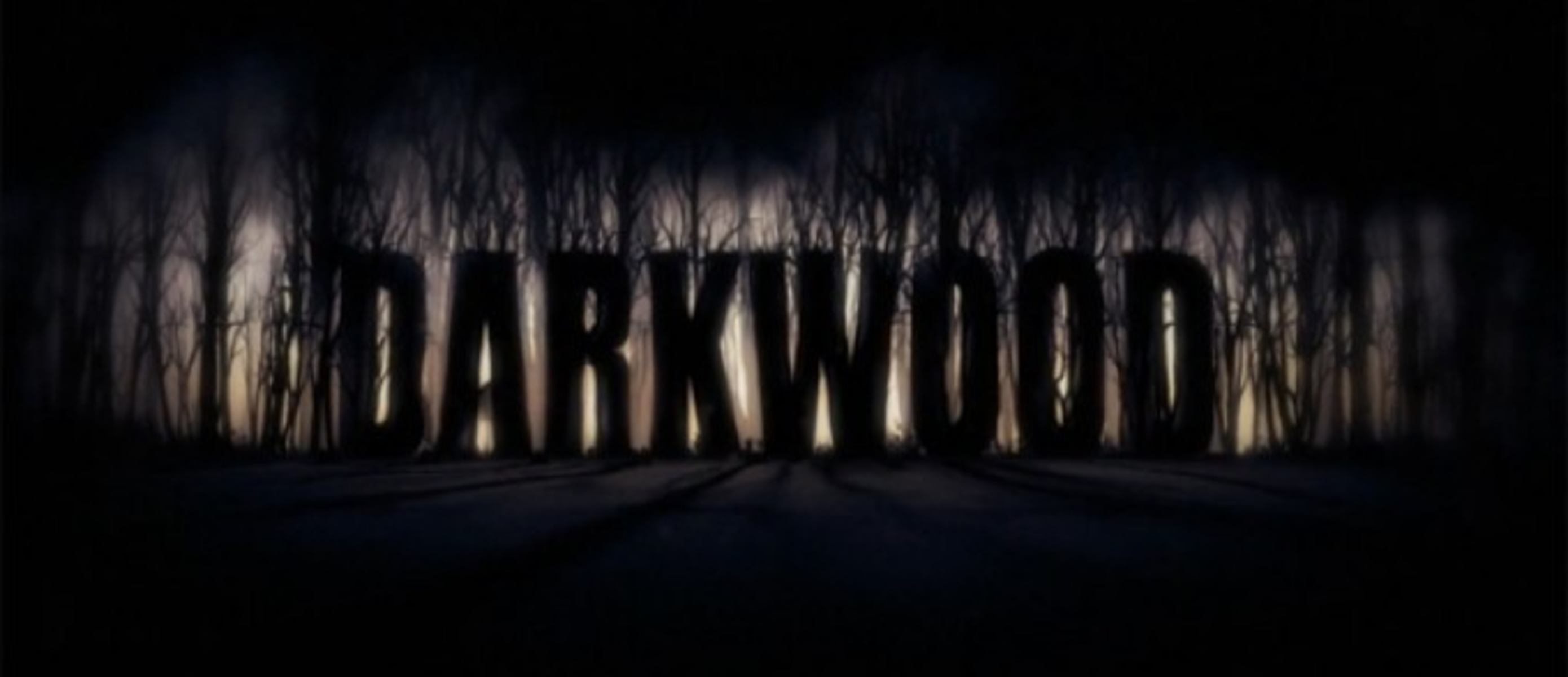 Acid wizard studio. Darkwood лес. Darkwood игра геймплей. Darkwood 2. Хоррор шапка DCT.