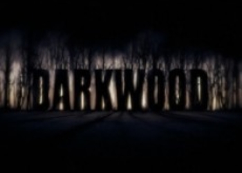 Darkwood: Добро пожаловать в темный лес