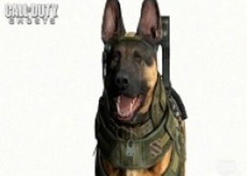 Call of Duty Ghosts: новый движок лишь модификация старого