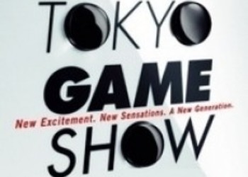 Официальный промо-постер Tokyo Game Show 2013
