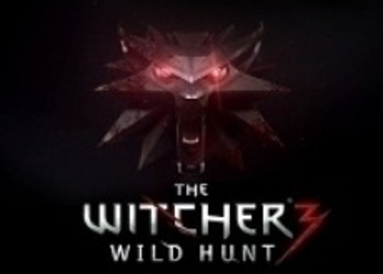 Комментарии разработчиков относительно того, почему релиз The Witcher 3: Wild Hunt не состоится для PS3 и Xbox 360