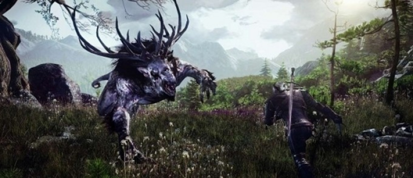 Комментарии разработчиков относительно того, почему релиз The Witcher 3: Wild Hunt не состоится для PS3 и Xbox 360