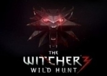 Боевая система в The Witcher 3: Wild Hunt вдохновлялась Batman: Arkham Asylum