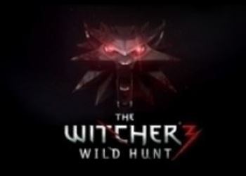CD Projekt RED: В The Witcher 3 не будет QTE