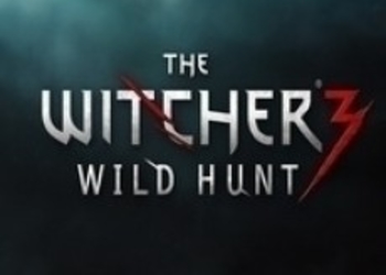 Тизер вступительного ролика The Witcher 3: Wild Hunt