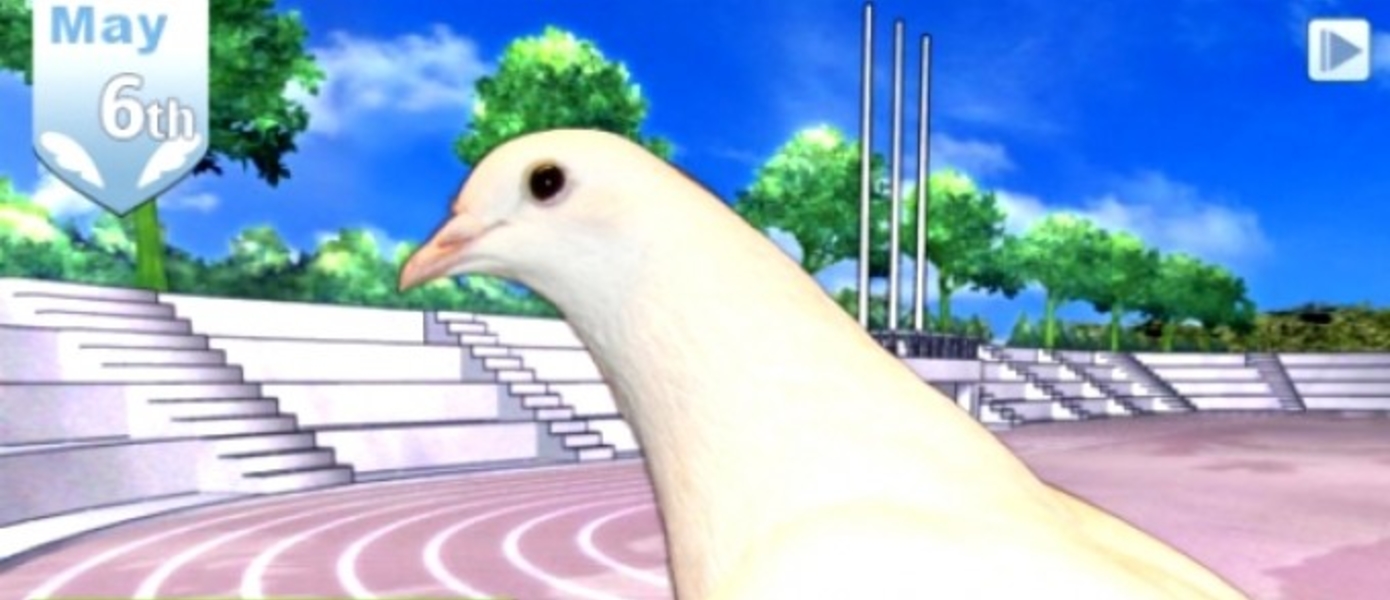 Пользователи PlayStation смогут завести отношения с голубем - симулятор Hatoful Boyfriend выйдет на PS4 и PS Vita