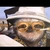 SeriousSloth