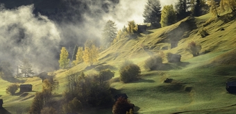 nehinka