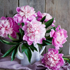 d.maslov748@gmail.com