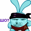 HachuPitsu1488