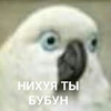 id214433098
