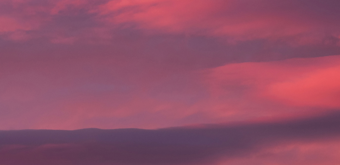 id147116001