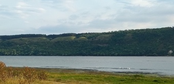SanPRO_