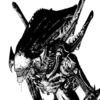 _XEnderMorph_