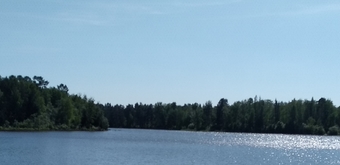 Mihagrib
