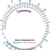 Raje