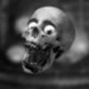 Thorus