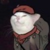 meow