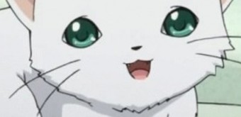 Xukapu