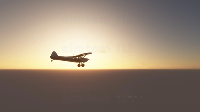 Скриншоты Microsoft Flight Simulator