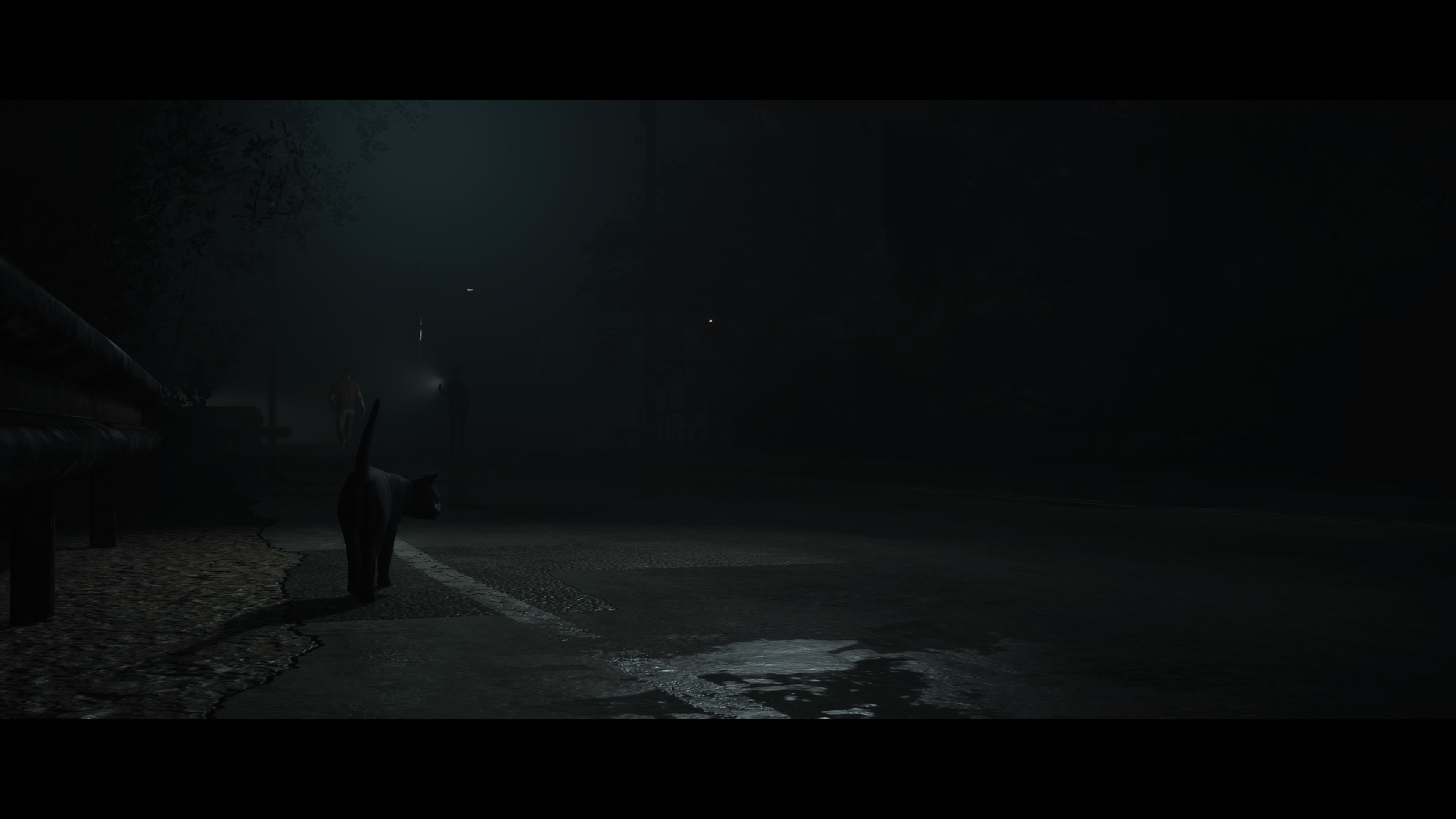 Dark pictures игра обзор