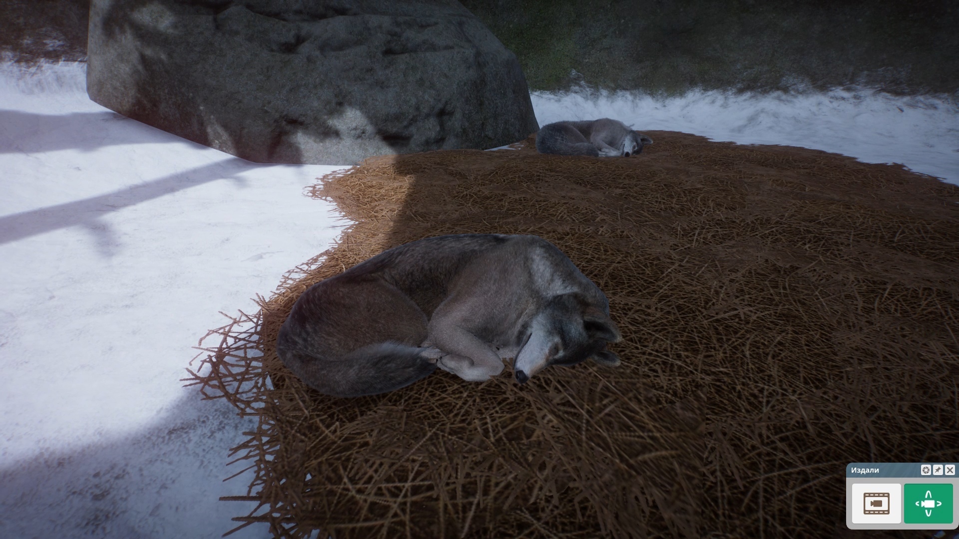 Туалеты важнее панды: Обзор Planet Zoo